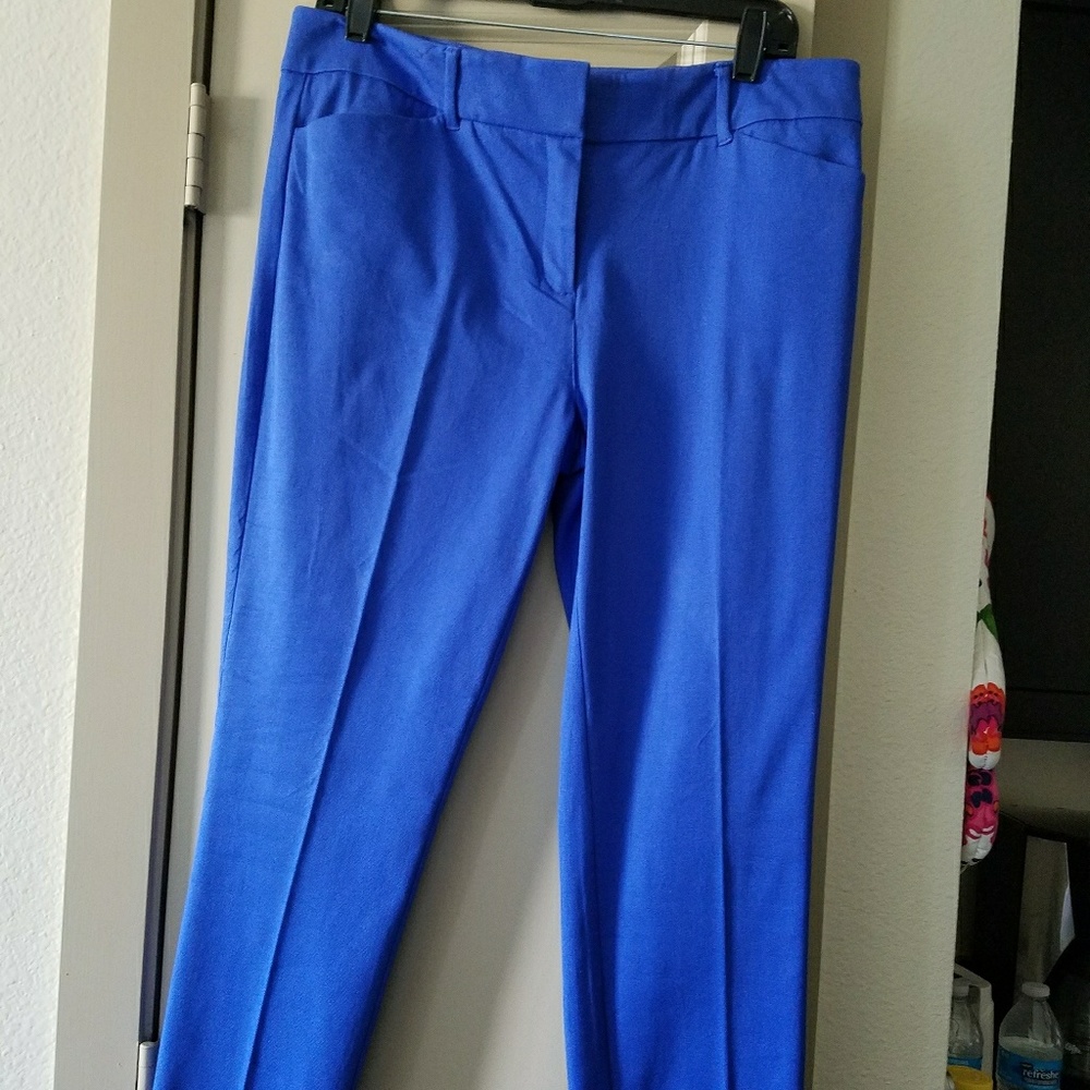 New York and company pant